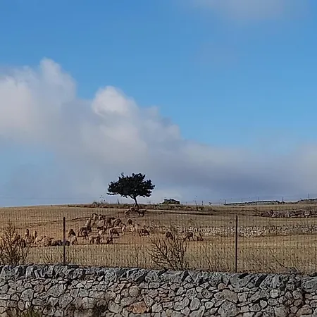 בית נופש Ottocento Molillo