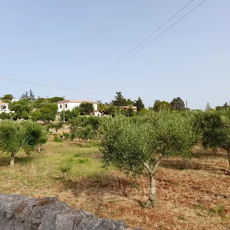 Holiday home Ottocento Molillo *