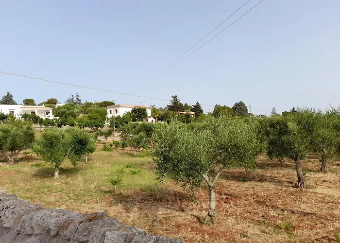 Сasa de vacaciones Ottocento Molillo *