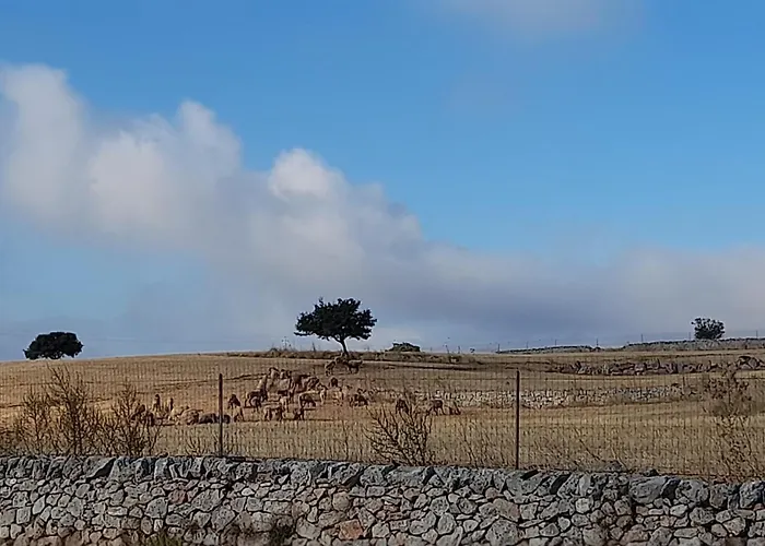 Сasa de vacaciones Ottocento Molillo